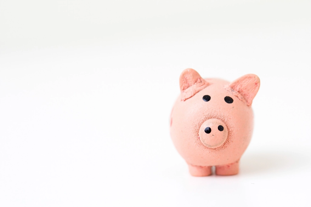 A small pink piggy bank on a white background